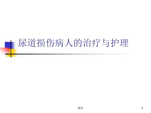 尿道损伤病人的护理  ppt课件