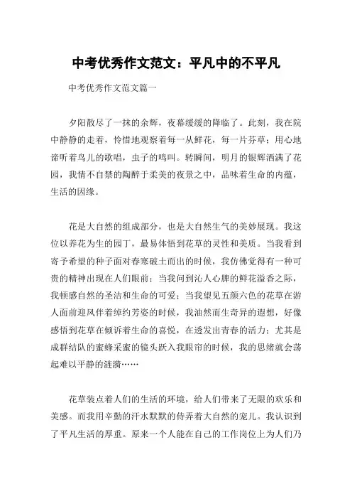 中考优秀作文范文：平凡中的不平凡