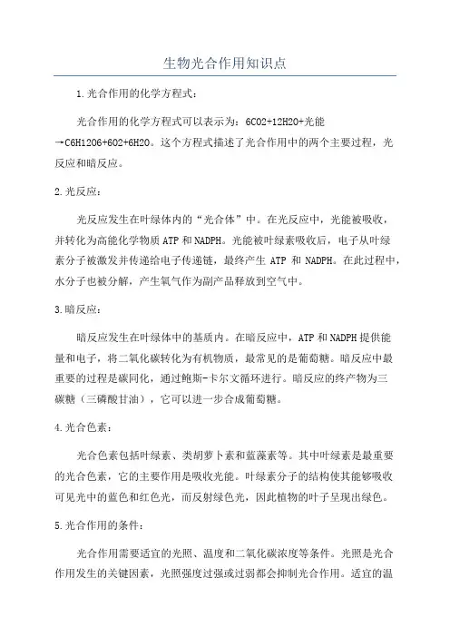 生物光合作用知识点