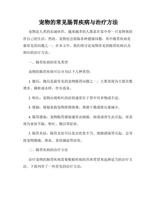 宠物的常见肠胃疾病与治疗方法