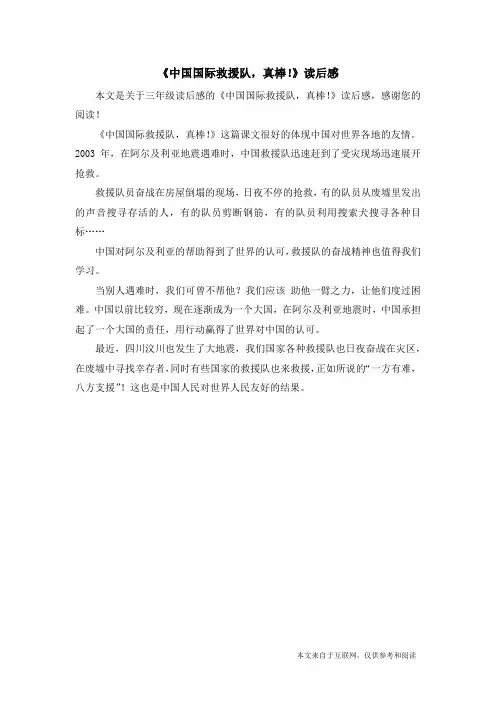 《中国国际救援队,真棒!》读后感_三年级读后感