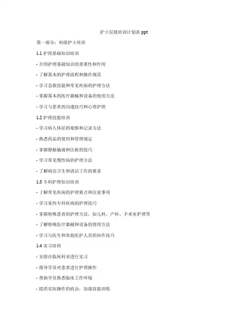 护士层级培训计划表ppt