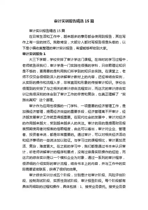 审计实训报告精选15篇