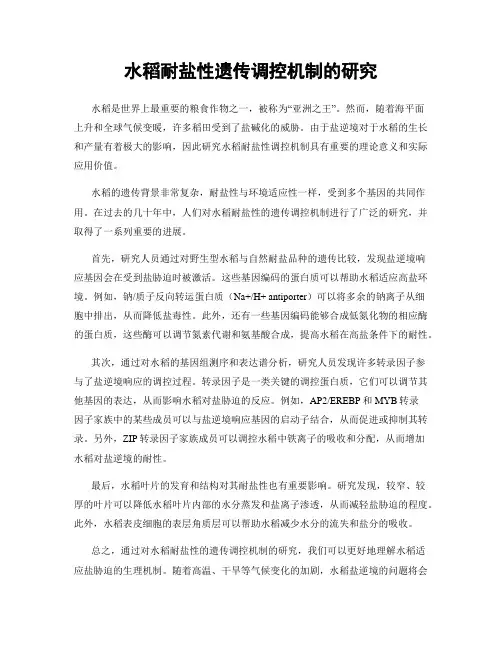 水稻耐盐性遗传调控机制的研究