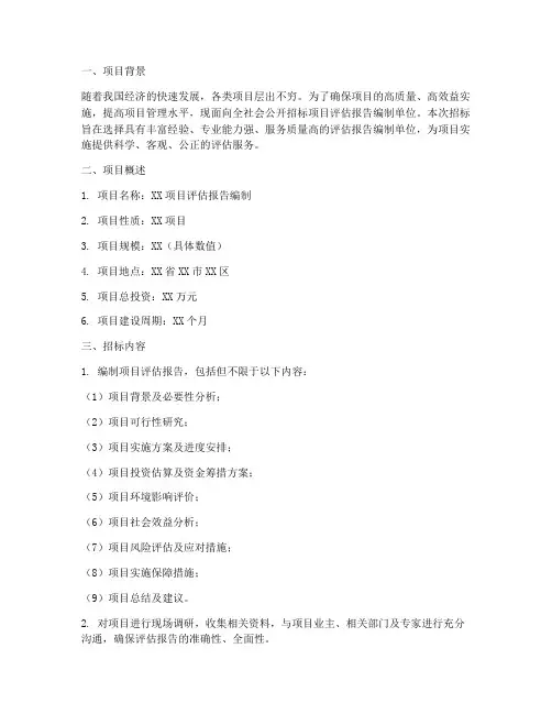 项目评估报告招标文件