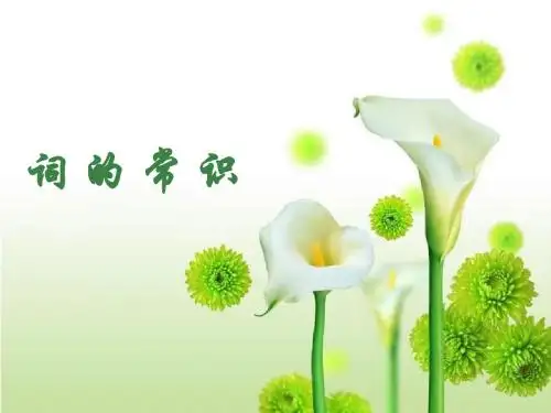 词 的 常 识