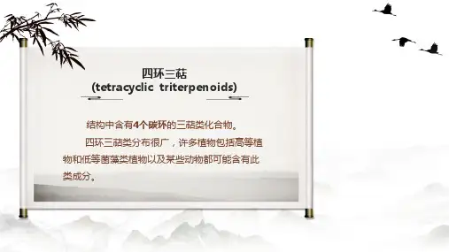 38.1三萜类化合物的结构四环三萜
