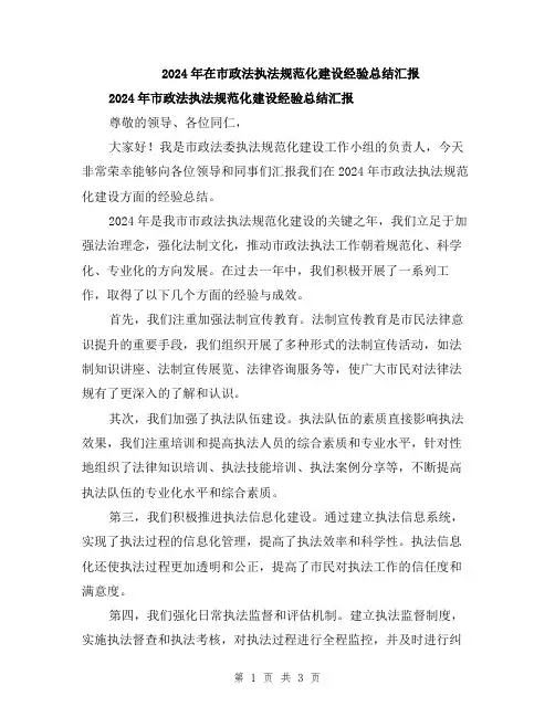 2024年在市政法执法规范化建设经验总结汇报