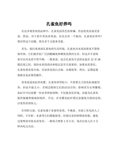 孔雀鱼好养吗