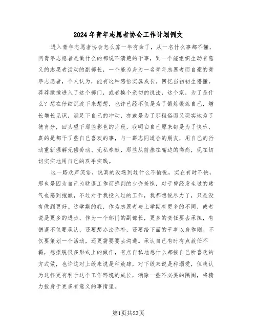 2024年青年志愿者协会工作计划例文（7篇）