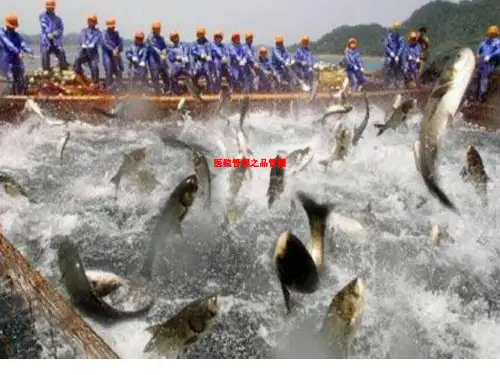 医院管理之品管圈
