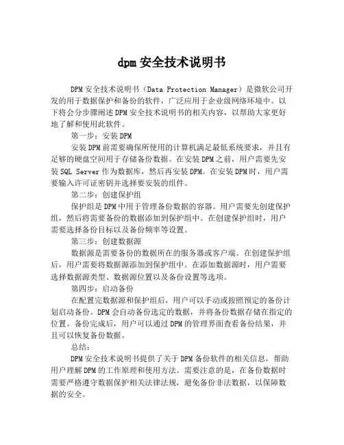 dpm安全技术说明书