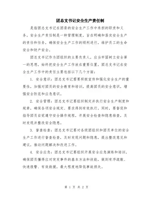 团总支书记安全生产责任制
