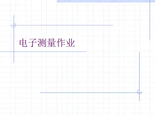 电子测量技术习题
