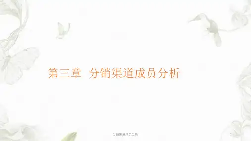 分销渠道成员分析ppt课件