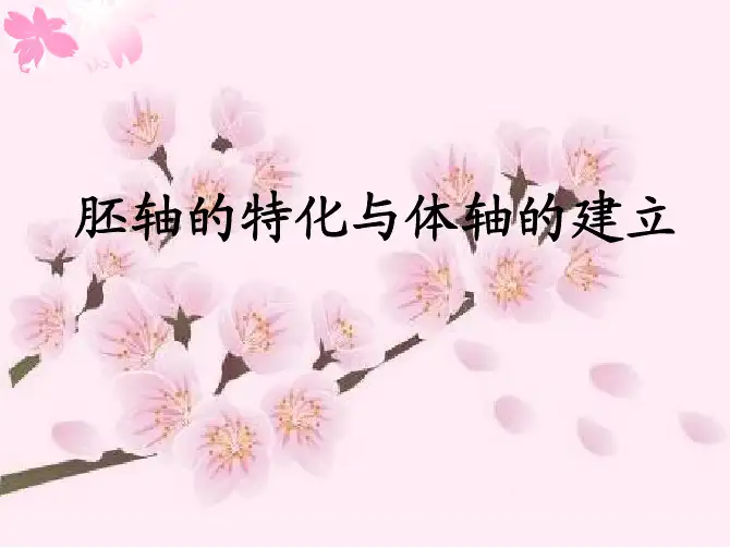发育生物学胚轴的特化与体轴的建立