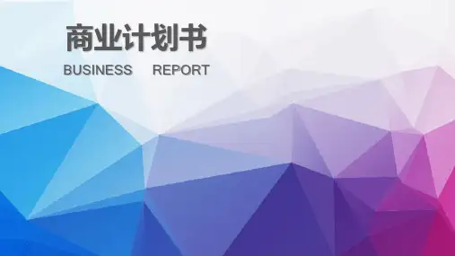 2020商业计划书PPT模板