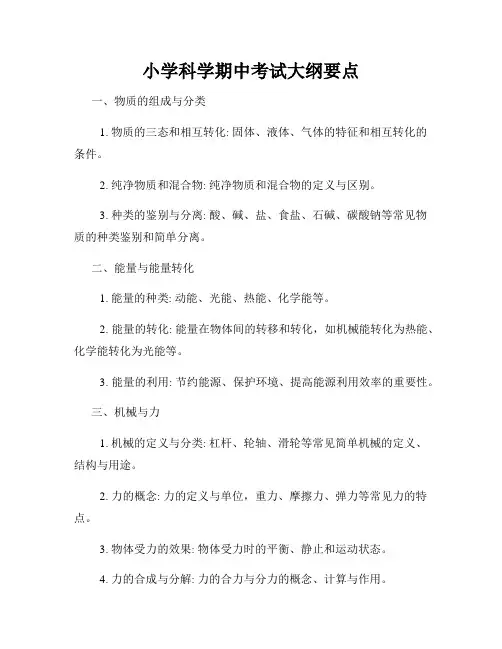 小学科学期中考试大纲要点