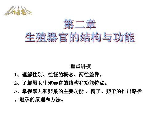 性科学概论第二章 生殖器官的结构与功能
