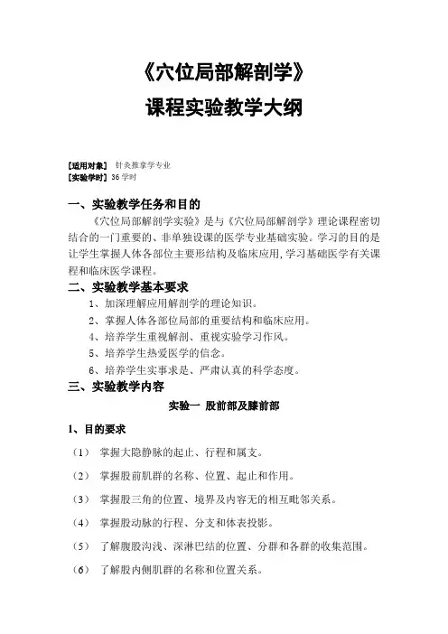 穴位局部解剖学