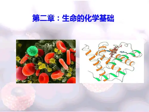普通生物学：第2章 生命的化学基础