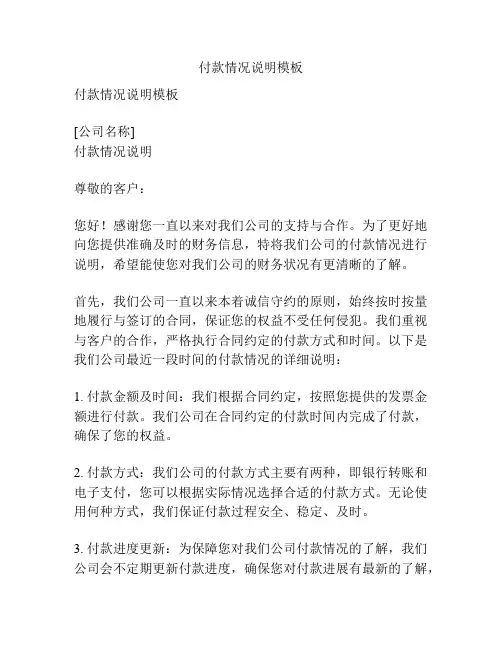 付款情况说明模板