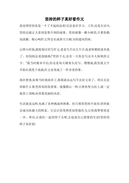 坚持的样子真好看作文