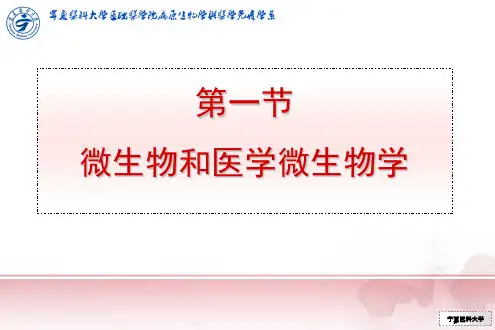 细菌的形态与结构