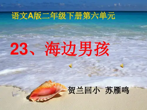 二年级语文下册课件 海边的男孩