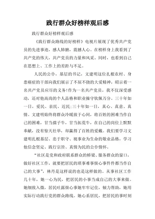 践行群众好榜样观后感