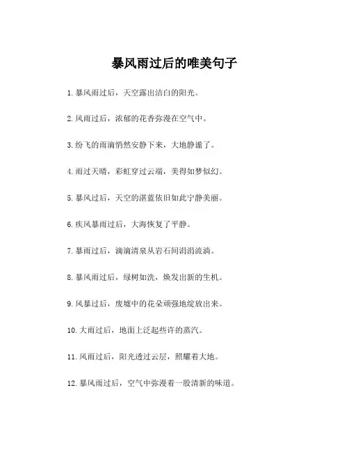 暴风雨过后的唯美句子