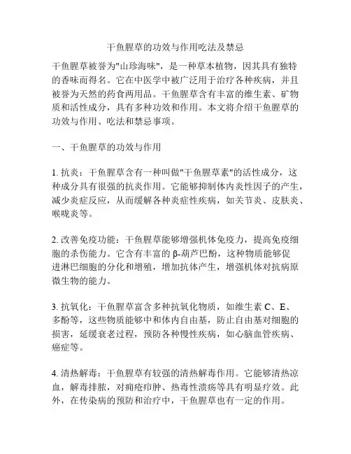 干鱼腥草的功效与作用吃法及禁忌