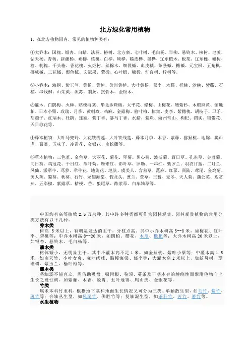 北方乔、灌木,花卉汇总