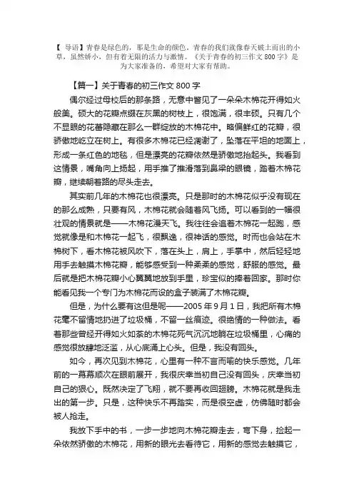 关于青春的初三作文800字