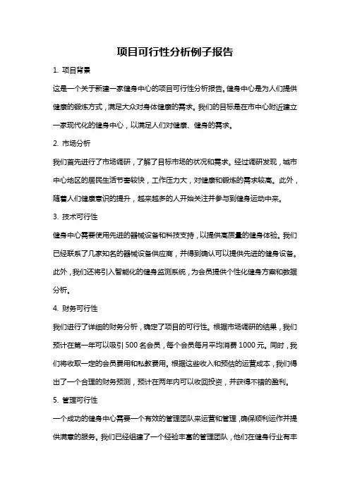 项目可行性分析例子报告