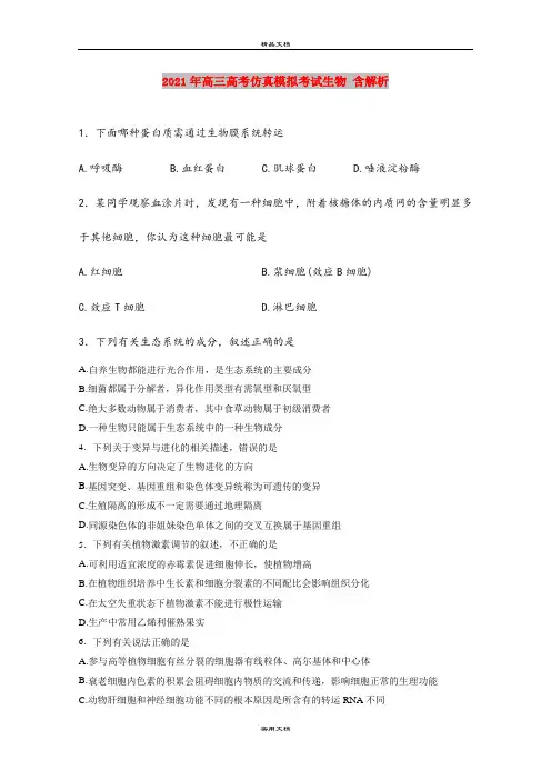 2021年高三高考仿真模拟考试生物 含解析