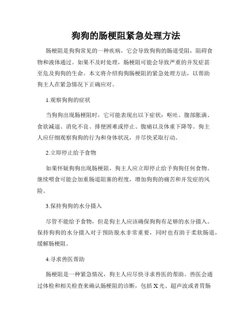 狗狗的肠梗阻紧急处理方法