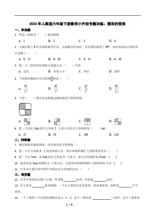 人教版六年级下册数学小升初专题训练：图形的变换(含答案)