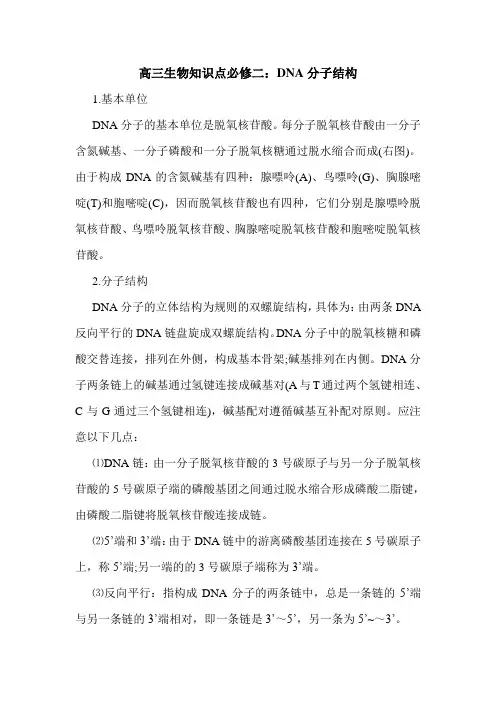 高三生物知识点必修二:DNA分子结构.doc