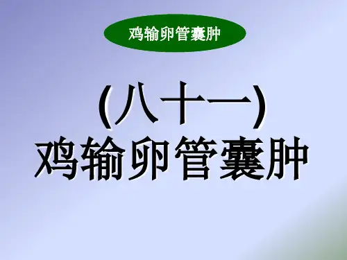 鸡输卵管囊肿及其防治