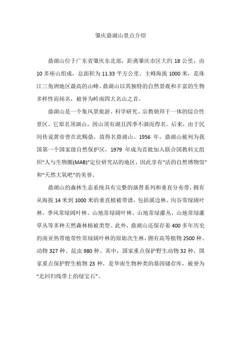 肇庆鼎湖山景点介绍