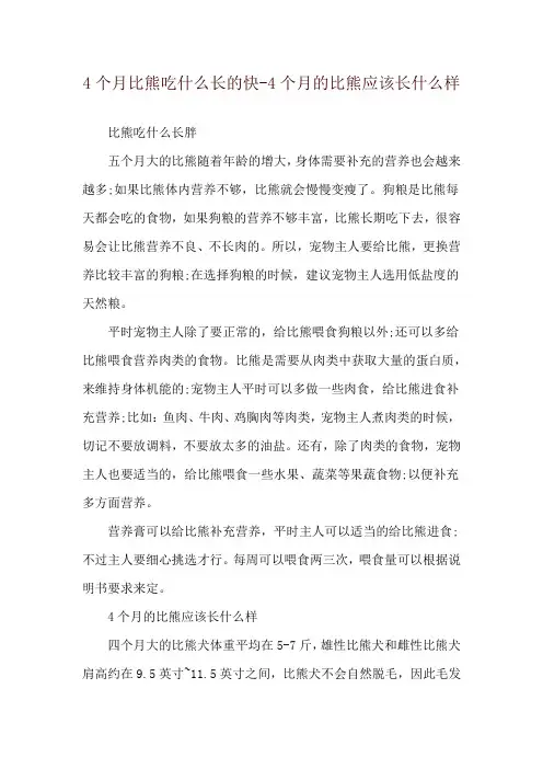 4个月比熊吃什么长的快-4个月的比熊应该长什么样
