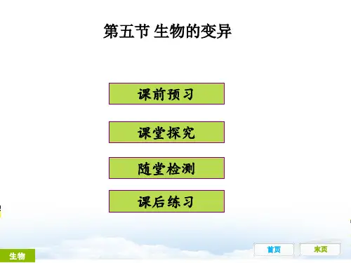 最新部编人教版八年级生物下册第五节《生物的变异》精品ppt课件
