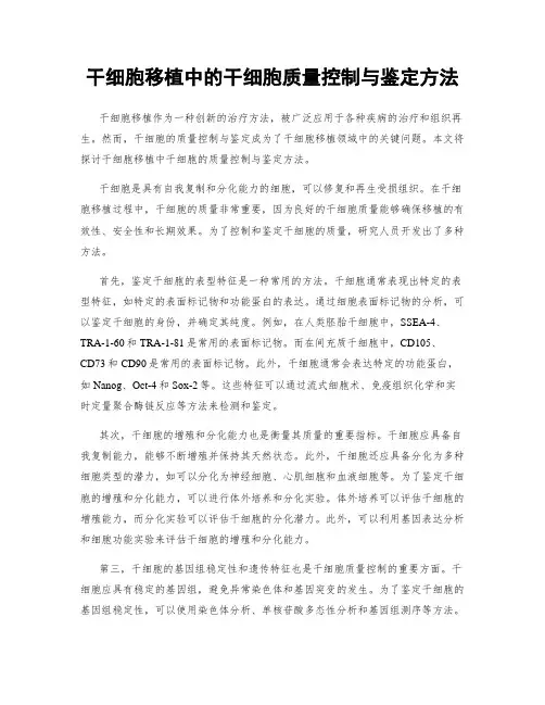 干细胞移植中的干细胞质量控制与鉴定方法