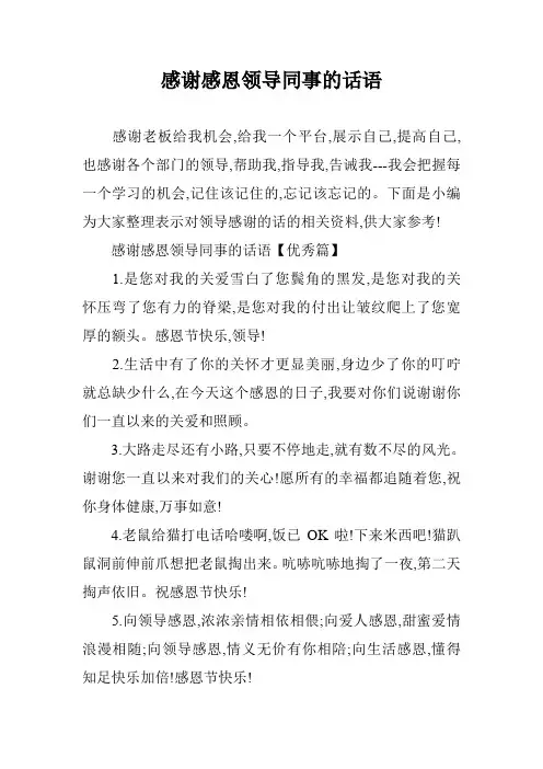 感谢感恩领导同事的话语