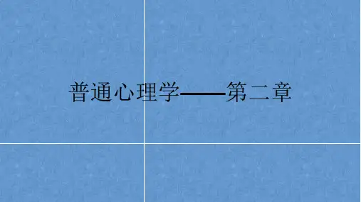 2第二章认知过程