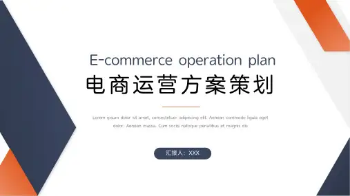 简约大气电商运营方案策划PPT