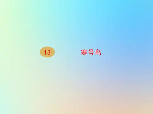 寒号鸟课件(共21张PPT)