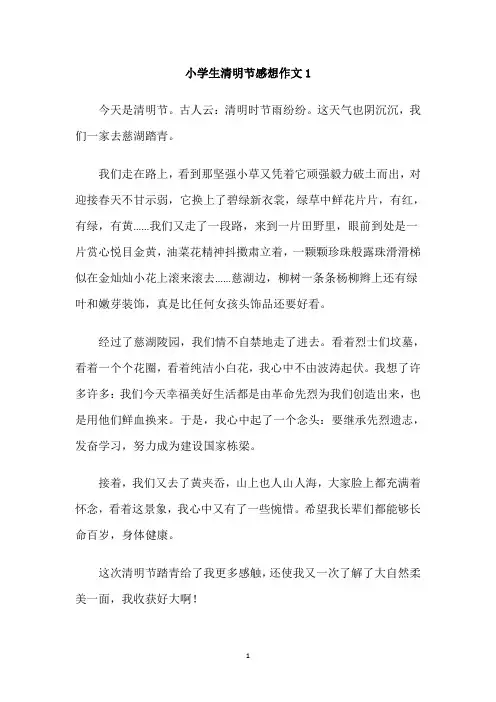 小学生清明节感想作文(6篇 )
