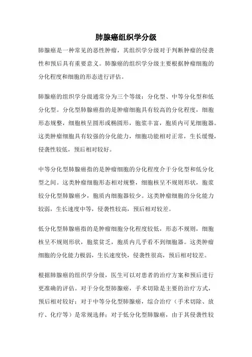 肺腺癌组织学分级